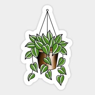 Hanging basket pothos Sticker